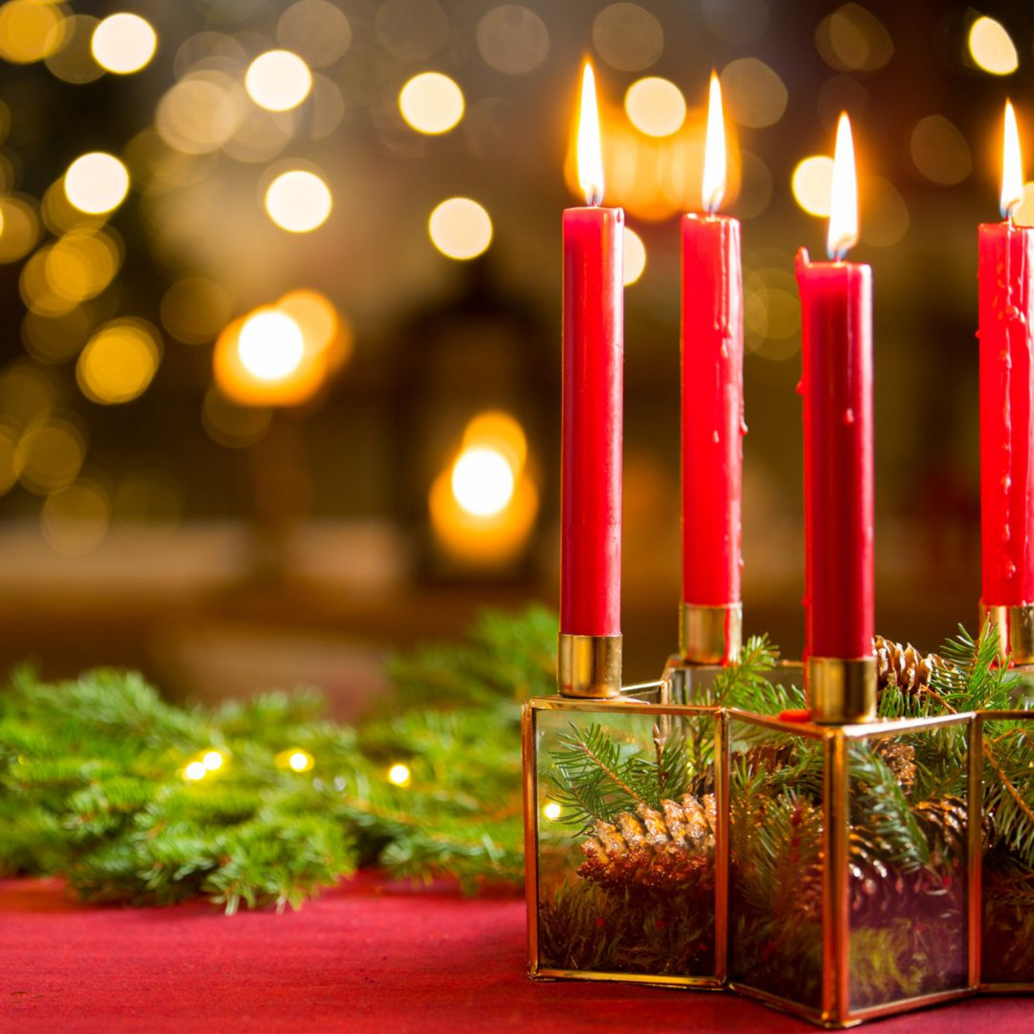 Jingle Bells : Christmas Dinner