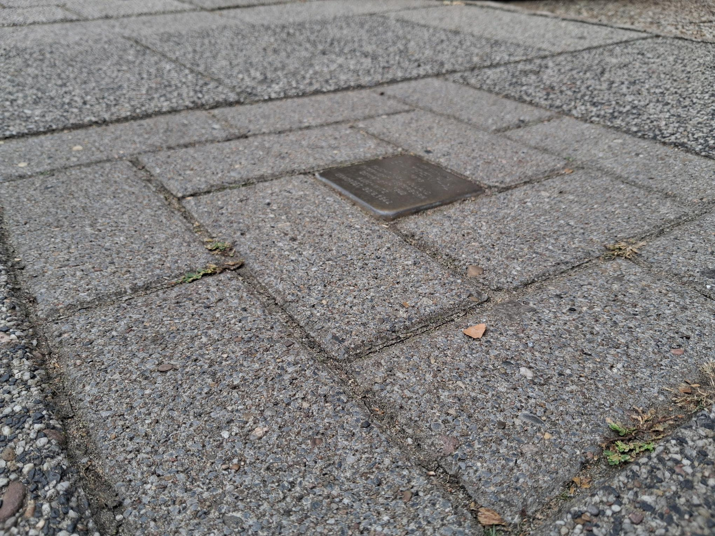 AKTIONSWOCHE JÜDISCHES LEBEN : STOLPERSTEINE - PUTZ-AKTION MIT FÜHRUNG